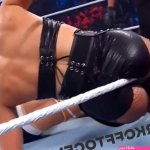 WWE Divas Nudes Nip Slip Ass more