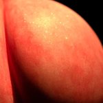The ultimate guide to rimming