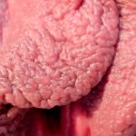 Extreme Close Up Pussy Porn Videos