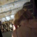 Fucking in the alley so shes has to walk home dripping with cum...