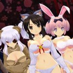 Senran kagura Peach ball Character Replacement Mod Hanzo Team Read Description
