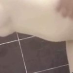 Phim Sex Nht Bn Porn Videos: Best XXX 2026
