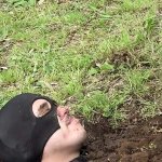 Spanked The Ranch Porn Videos
